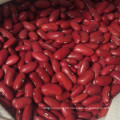 New Crop Red Kidney Bean (180-200)